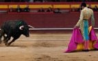 toros David Galvan