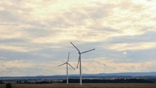 Energía eólica, ciencia, curiosidades, ecosistemas marinos