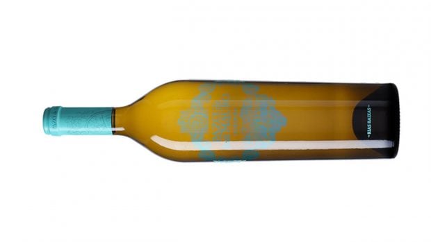 vinos brindar