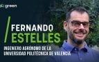 entrevista-okgreen-fernando-estelles