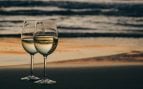 vinos verano brindar champan