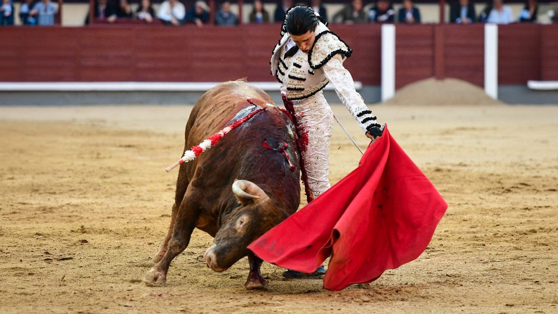 Talavante arrasa en Las Ventas y abre la primera Puerta Grande de San Isidro en Madrid