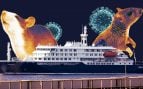 Expertos explican que las ratas encontradas en el crucero MV Hondius pudieron subir en Cabo Verde