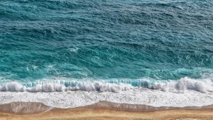 Microplásticos en la tierra, microplásticos, estudio científico sobre los microplásticos, qué pasa con los microplásticos, microplásticos en la atmófera, microplástico en el mar.