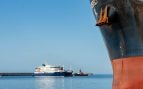 ¿Que va a pasar en Canarias si las ratas y ratones del MV Hondius bajan del crucero y llegan al puerto?