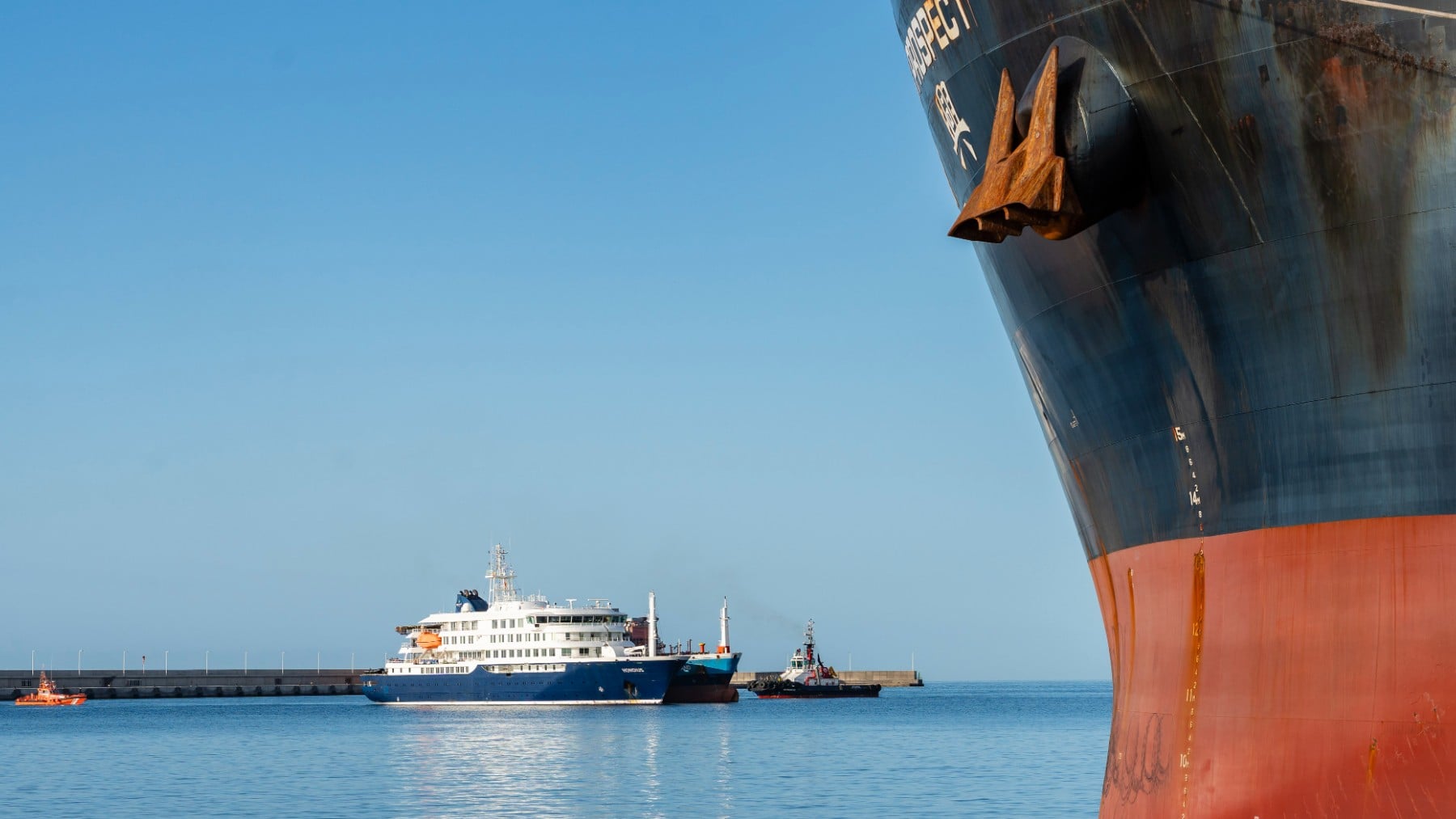¿Que va a pasar en Canarias si las ratas y ratones del MV Hondius bajan del crucero y llegan al puerto?