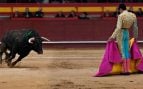 corrida toros