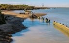 Doñana