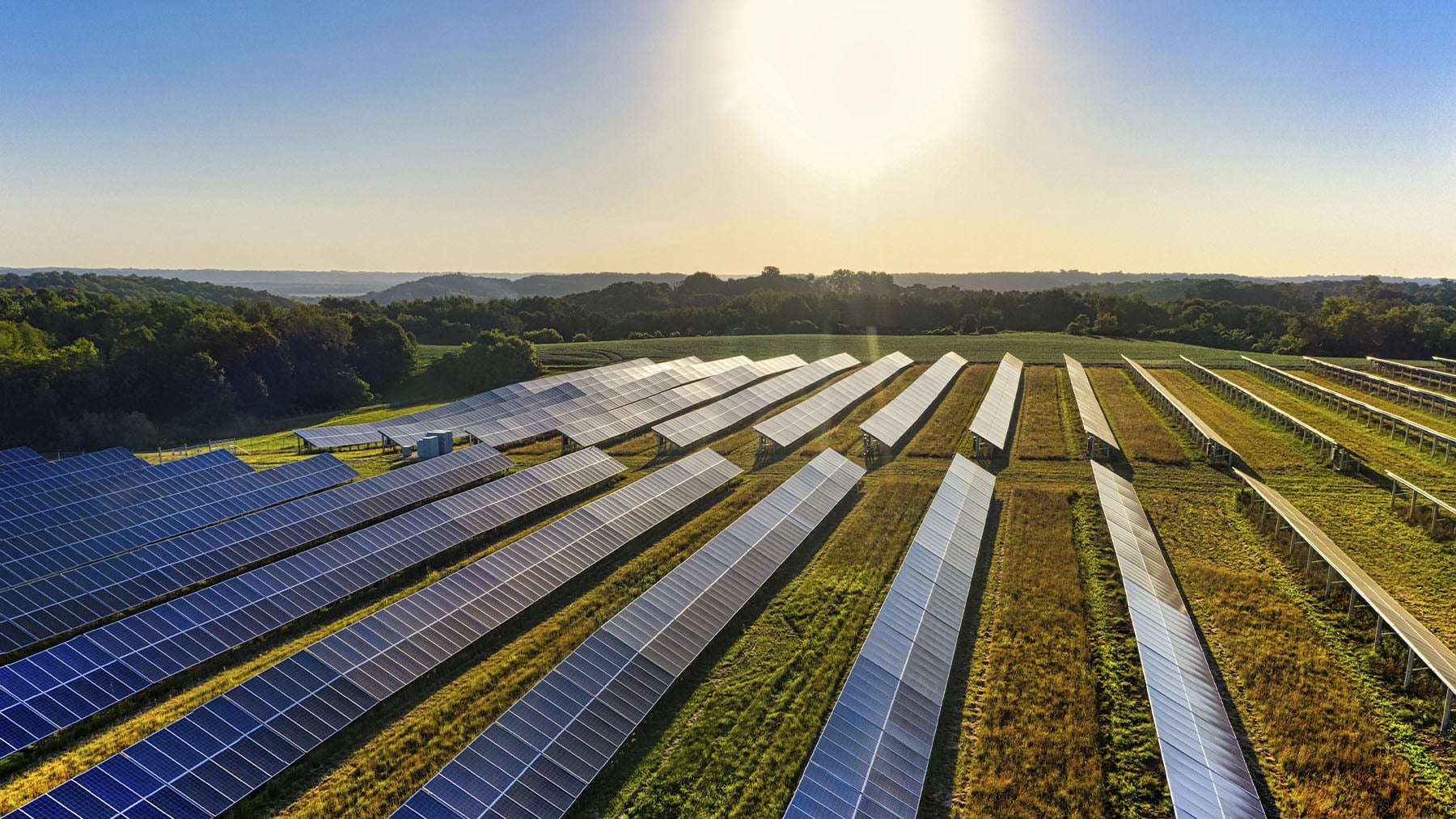 Paneles solares. Foto: Pexels.