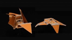 Los investigadores combinaron su experiencia en ciencia de materiales y origami para crear un robot duradero y programable que se mueve sin motor. Foto: Escuela de Ingeniería y Ciencias Aplicadas de Princeton