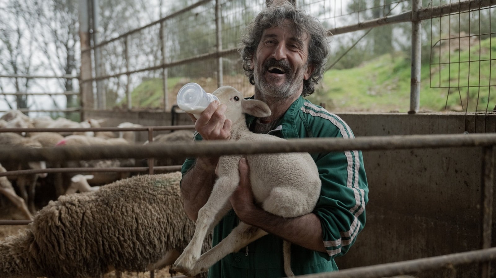 Animal Netflix