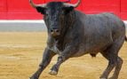 Las mejores ganaderías de San Isidro 2026: corridas y toros más esperados en Las Ventas