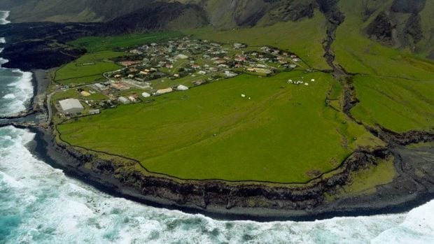 Tristan da Cunha hantavirus, Hondius