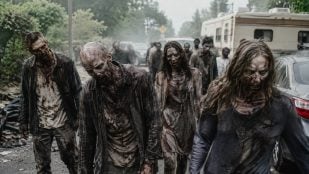 Zombi o zombies en español, zombi en la RAE, zombi extranjerismo Haití, zombie extranjerismo crudo.