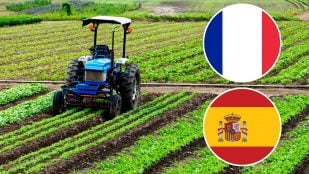 Francia y España