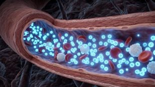 Luz dentro del cuerpo humano