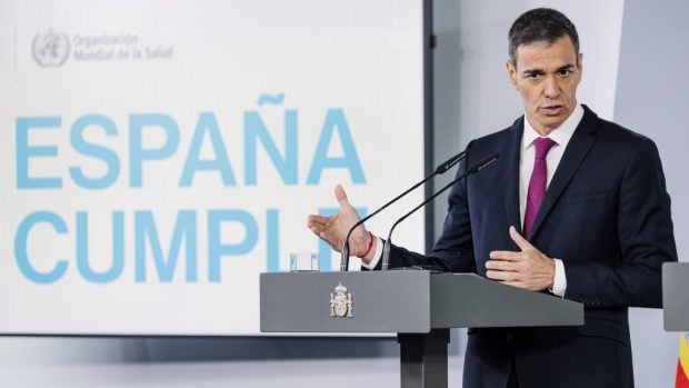 Pedro S&aacute;nchez