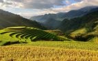 Agricultura de carbono en Kazajistán, qué es la agricultura de carbono, zakajistán y la agricultura de carbono, pruebas de agricultura sostenible.