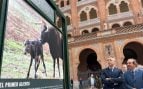toro-bravo-biodiversidad