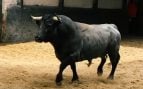Podríamos estar ante un hito en la tauromaquia: la ganadería que puede hacer historia en San Isidro 2026 con el toro más peligroso del cartel