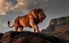 Hakuna Matata