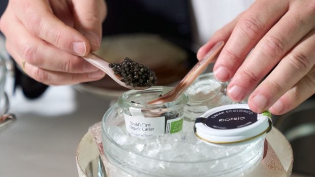 El caviar ecológico muestra en Riofrío su modelo de acuicultura pionero sostenible y excelencia gastronómica-