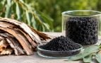 Filtro de carbono con eucalipto para capturar CO2, científicos usan la corteza de eucalipto para absorber CO2, residuos y lucha cambio climático, filtro de carbono contra el CO2.