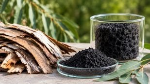 Filtro de carbono con eucalipto para capturar CO2, científicos usan la corteza de eucalipto para absorber CO2, residuos y lucha cambio climático, filtro de carbono contra el CO2.