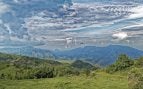 Colombia quiere plantar millones de árboles, por qué Colombia va a plantar 2,3 millones de árboles, siembra de árboles y medioambiente, recuperación bosques colombianos.