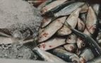 pescado