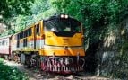 tren largo mundo