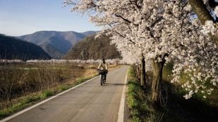 Camino carril bici de Corea del sur, 4 Rivers Trail. Foto: Riding Wild