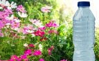 Botella en el jardín