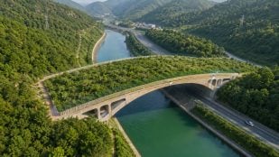 China construye un puente sólo para animales, China hace puente gigante para fauna silvestre, China inventa un puente para animales, ingeniería china.