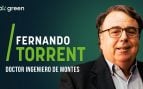 Fernando-torrent
