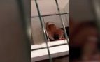 pareja sexo salvaje