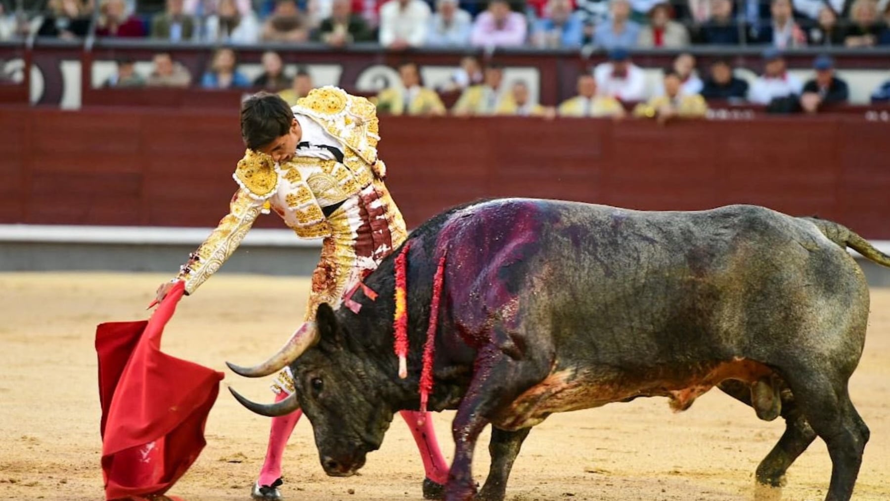 Manuel Diosleguarde destaca en su confirmación ante una corrida imposible de La Quinta