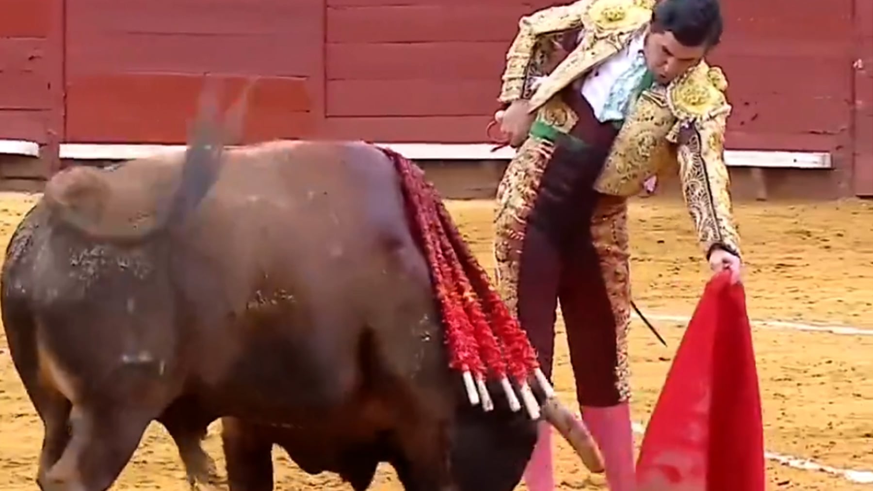 Morante resucita la magia en Jerez con una faena histórica en honor a Rafael de Paula