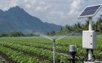 Sistema de riego con IA de Malasia, Malasia inventa sistema de riego con inteligencia artificial, IA en agricultura, Malasia agricultores tecnología, tecnología Malasia.