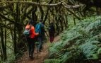 Ecoturistas en la gomera