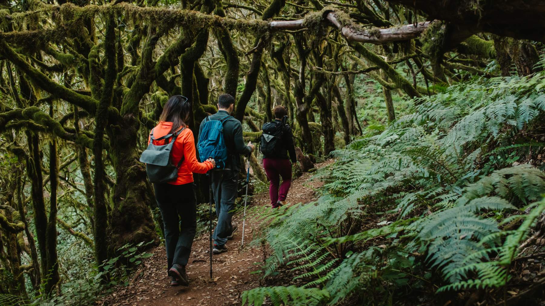 Ecoturistas en la isla de La Gomera. (Foto: Soy Ecoturista).