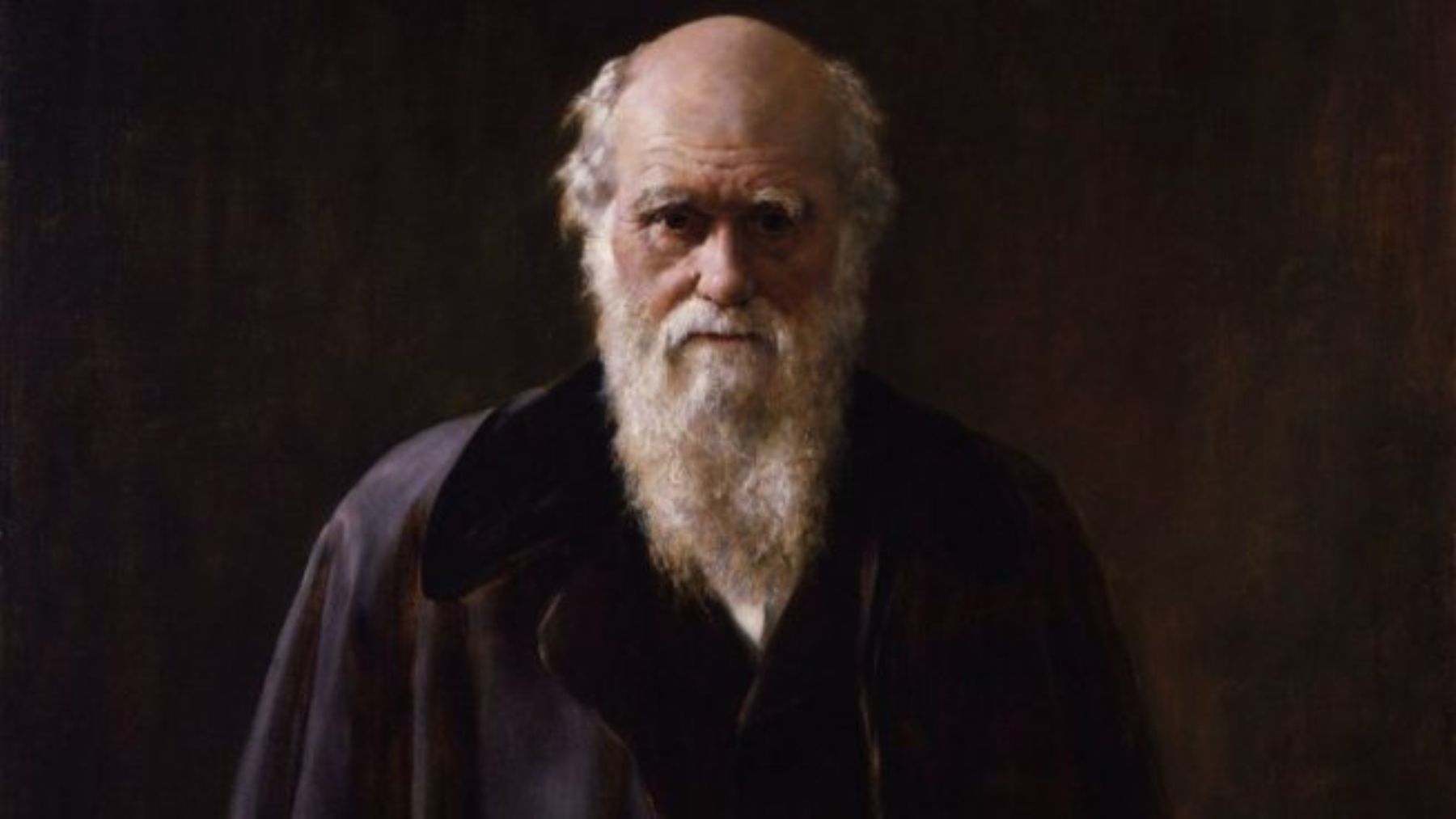 La cita del día por Charles Darwin: Si tuviera que vivir de nuevo mi vida, me impondría la obligación de leer algo de poesía y escuchar algo de música por lo menos una vez a la semana