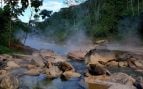 Perú, animales, naturaleza, especies