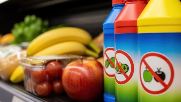 alerta alimentaria