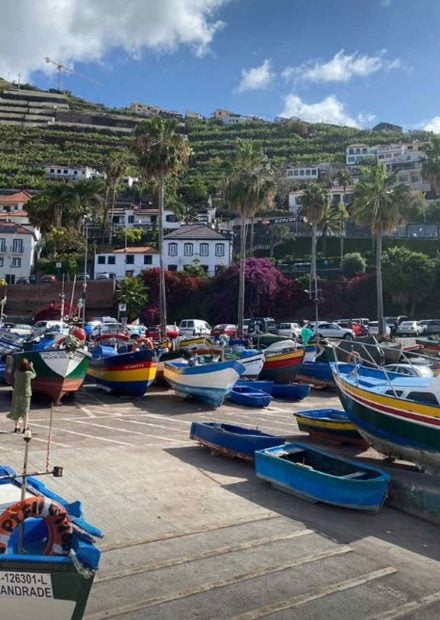 Madeira isla alternativa mediterr&aacute;neo