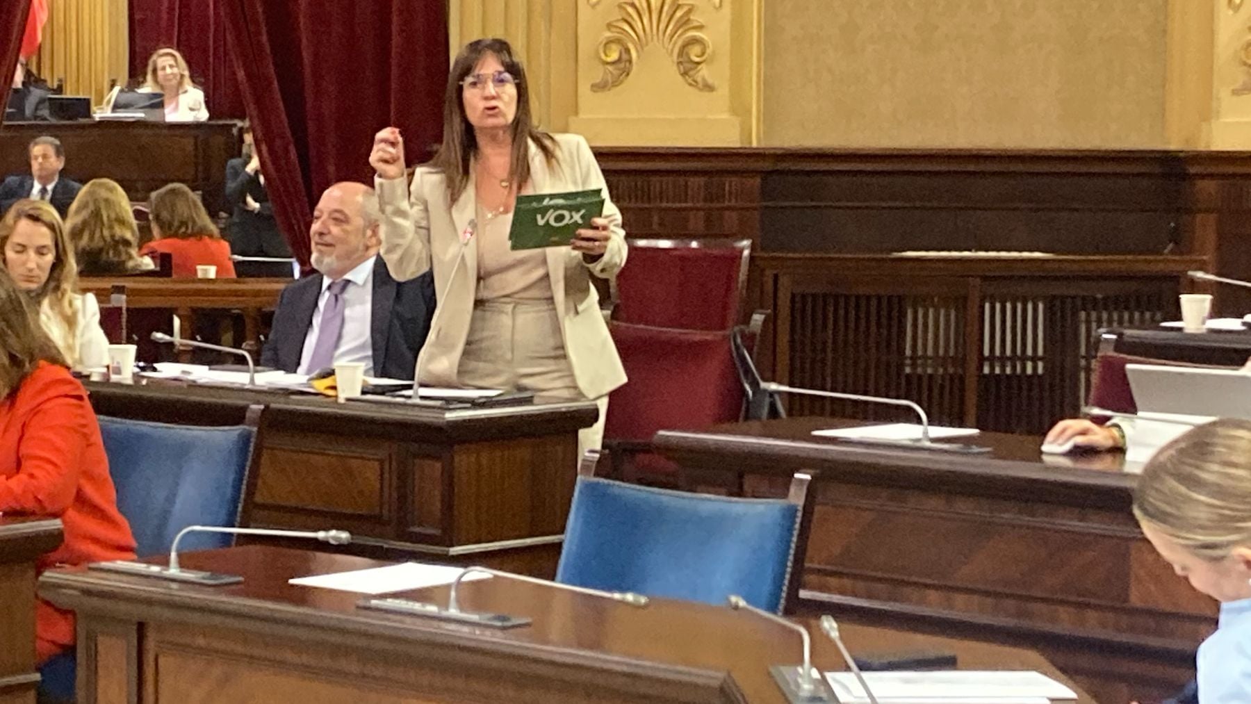 Manuela Cañadas interpela a Marga Prohens en el Parlament.
