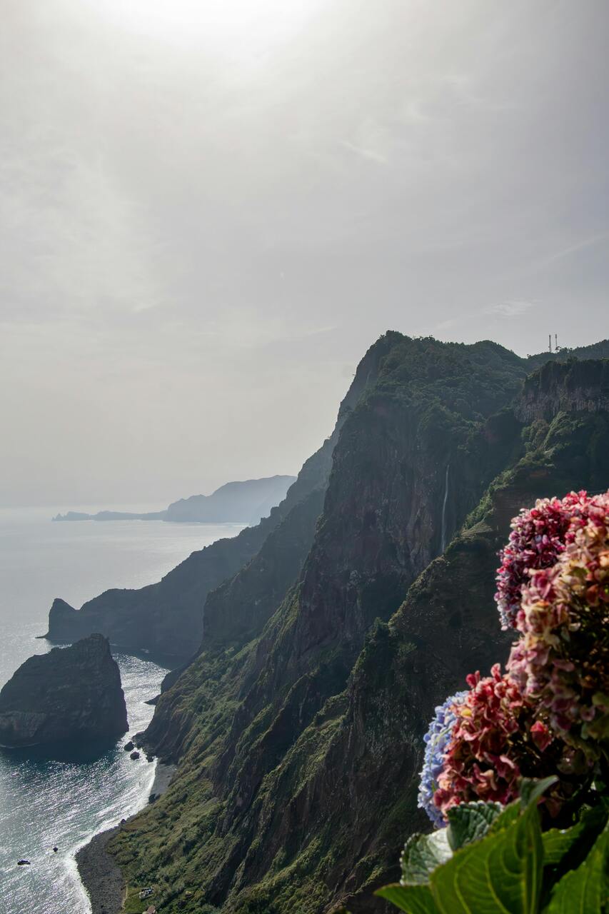 Madeira isla alternativa mediterr&aacute;neo