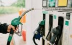 precio gasolina 25 mayo Andalucía