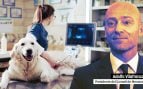 Menorca catalán veterinarios
