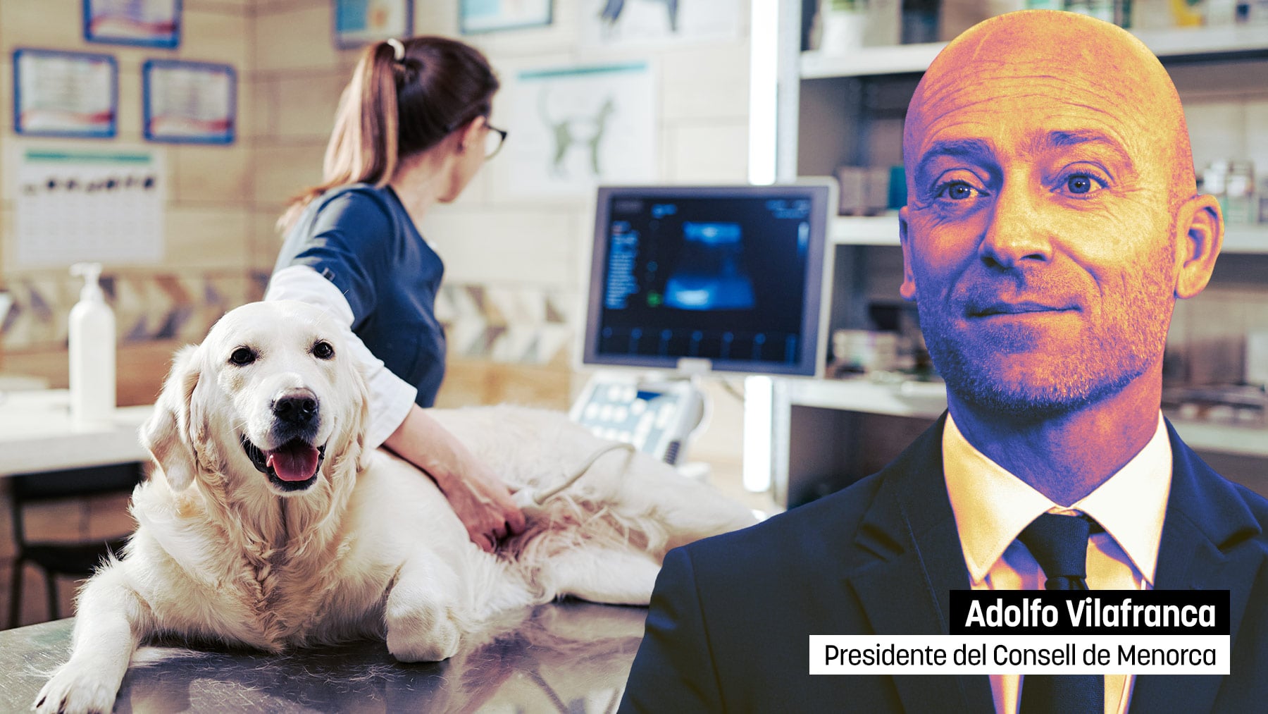 Exigen a los veterinarios de Menorca el título de catalán para poder tratar a los animales